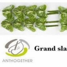 Anth A Grand Slam 1 kutu 20 adet!!!