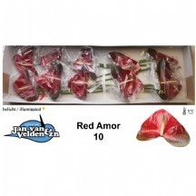 Anth A Red Amor rood 1 KUTU 16 ADET!!!