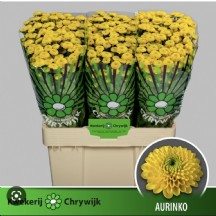 Chr S Aaa Aurinko 55 cm -  1 Demet 25 Dal!