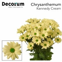 Chr T Kennedy Cream 1 demet 5 dal!!!