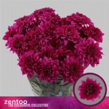 Chr T Lamıra 1 demet 5 dal!!! 70 cm