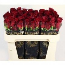 Gül Explorer 60 cm (Kırmızı Gül) 1 demet 10 dal!!