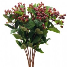 Hypericum Mag Lightning 60 cm  - 1  Demet 25 Dal!