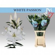 Lı Or Whıte Passıon 1 demet 10 dal!!