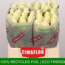 R Gr Albatros 40 cm - 1 Demet 10 Dal! beyazgül