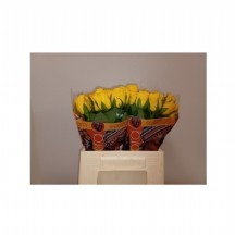 R Gr Bahama 50 cm 1 demet 10 dal!!!