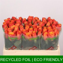 R Gr Confidential 70 cm - 1 Demet 10 Dal!