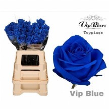 R Gr Cool Blue 50 cm 1 demet 10 dal