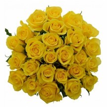 R Gr Good Times 50cm - 1 Demet 10 DAL!