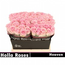 r gr heaven! 50 cm 1 demet 10 dal!!!