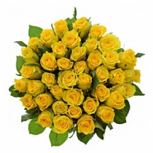 R Gr Jackpot - 50 cm  - 1 Demet 10 Dal!