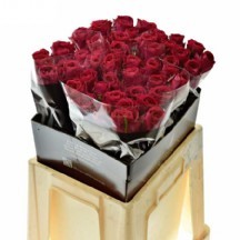 R Gr Madam Red 50 cm - 1 Demet 10 Dal!