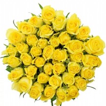 R Gr Moonwalk 50 cm - 1 Demet 10 DAL!