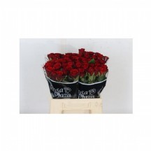 R Gr Red Ribbon 50 cm 1 demet 10 dal