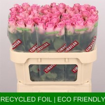 R gr revival  50 cm  1 demet 10 dal!!