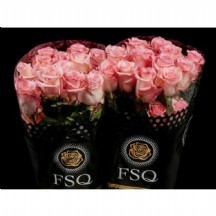 R Gr Rhoslyn 60 cm 1 demet 10 dal!!!