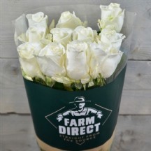 R Gr Tıbet! 50 CM 1 DEMET 10 DAL!!!