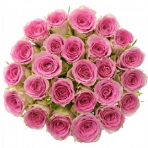 R Gr Times Square 50cm 1 Demet 10 DAL!