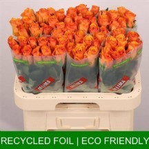 r gr tycoon 60 cm 1 demet 10 dal!!!