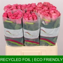 R Gr Watergame 70 cm  - 1 DEMET 10 DAL