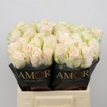 R Gr Wedding Rose 40 cm - 1 Demet 10 Dal!