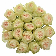 R Gr Wedding Rose 50 cm - 1 Demet 10 Dal!