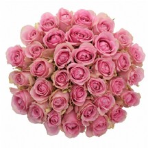 R Gr Wham 40 cm - 1 Demet 10 Dal!