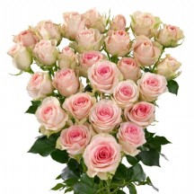 R Tr Good Mood 40 cm -  1 Demet 10 DAL!