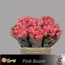 R Tr Pınk Boom 40 CM