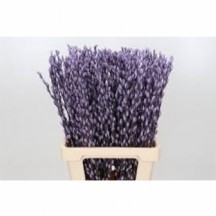 Salıx Ov Klb H% 1 DEMET 25 DAL!!!  MİLKA