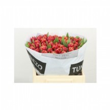 Tu Du Drone 1 demet 10 dal!!!