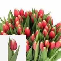 Tu en Energy4all 1 demet 10 dal!!!