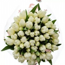 Tu En Royal Virgin - 1 Demet 10 DAL!