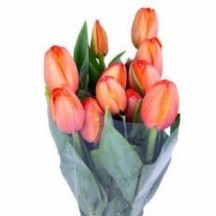 Tu en Trıple A 1 demet 10 dal!!!