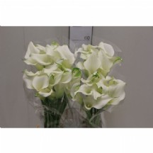 Zant Crystal Blush 55cm 1 demet 10 dal!!